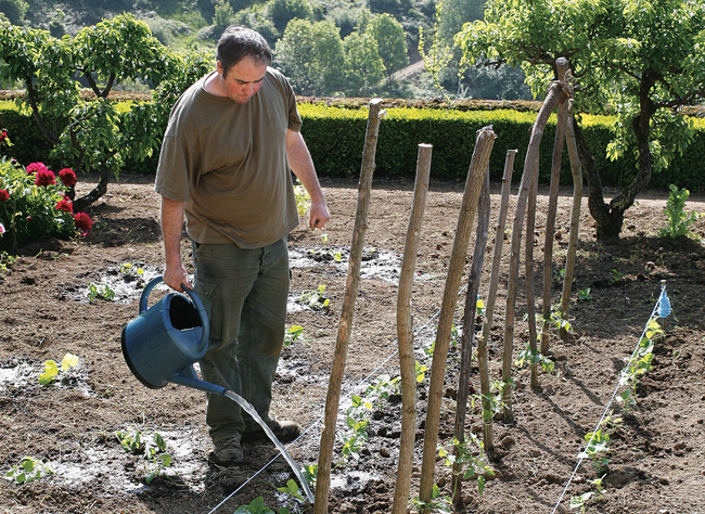 Potager : les bons gestes du jardinier en hiver