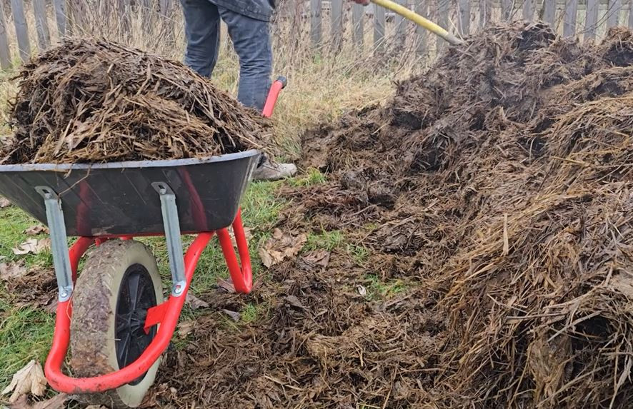 Revitaliser la terre du jardin sous un tunnel après l'hiver